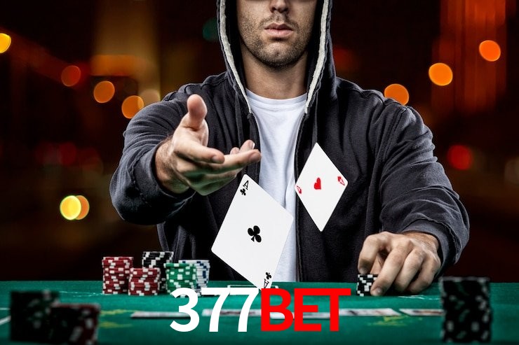 377Bet