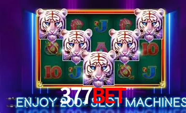APP oficial da 377Bet para mobile